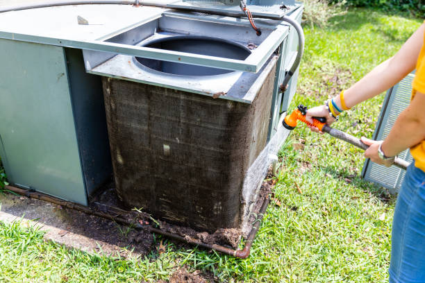 Best Dryer Vent Cleaning Services  in Green Village, NJ