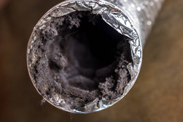 Best Affordable HVAC Duct Cleaning  in Green Village, NJ